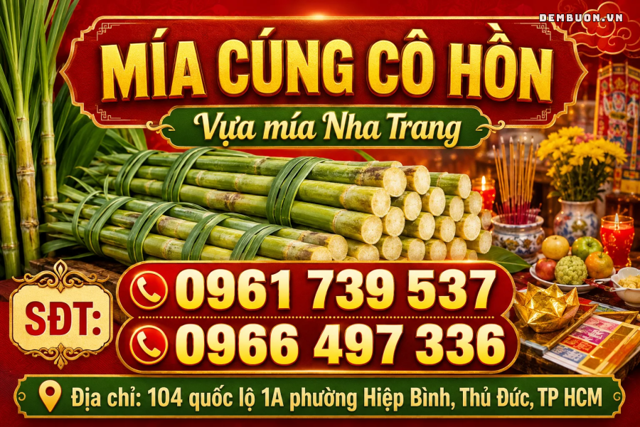 20260813-113742-27fc851762.png