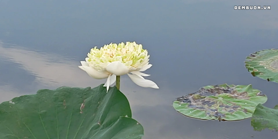 20260819-120131-b10ed08a01.png