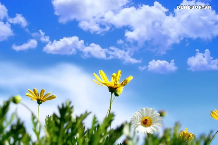 20260911-175134-21f5a88283.png