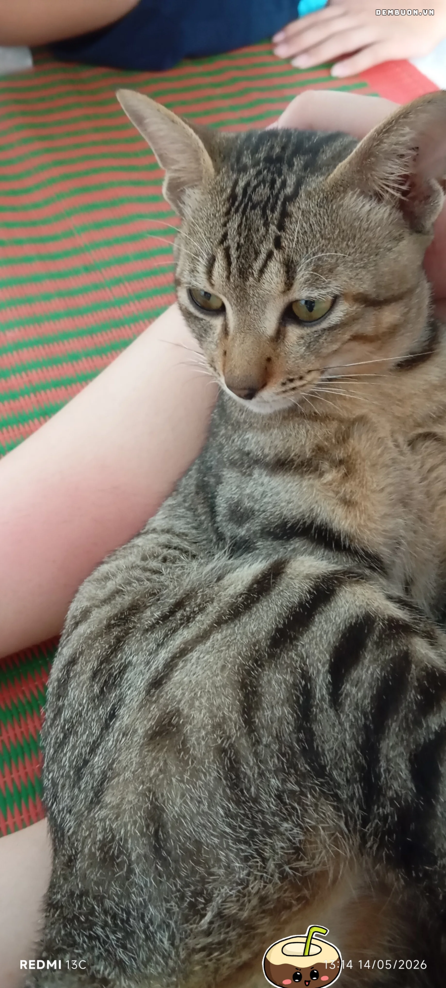 20261008-125003-0cff749f0c.png