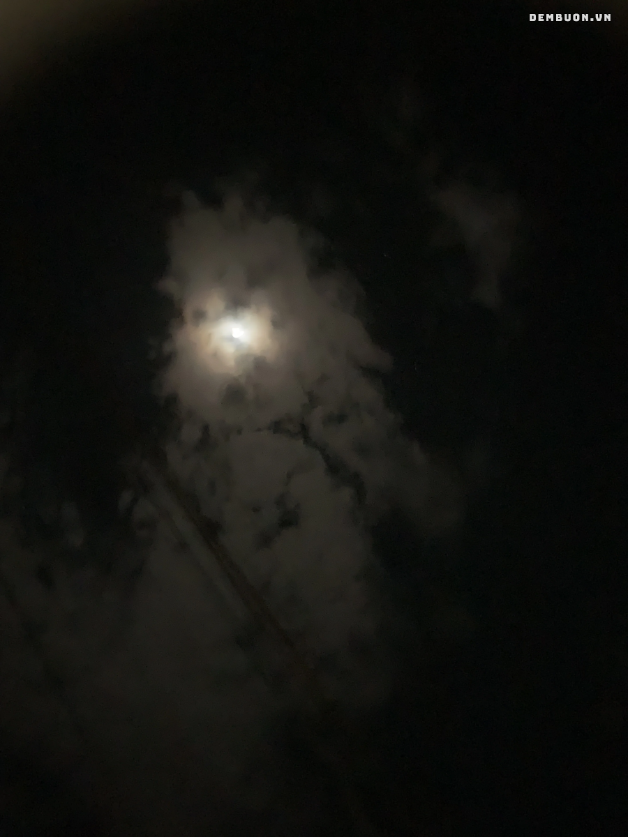 20261002-094145-f3e0be7a13.png