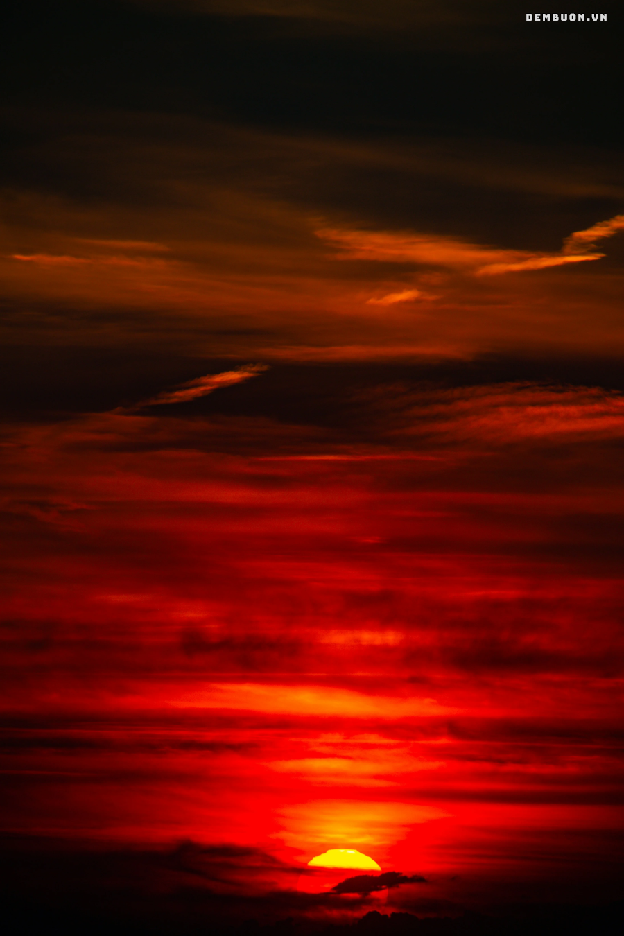 20261027-235925-91c32ca925.png