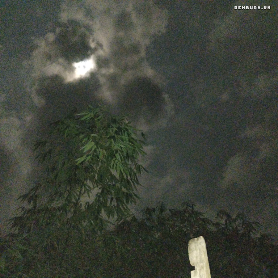 20261028-224419-89c831601f.png