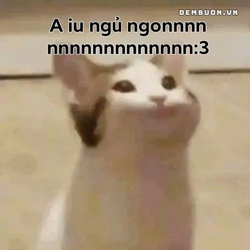 20260812-085204-f65c5e5f2f.png
