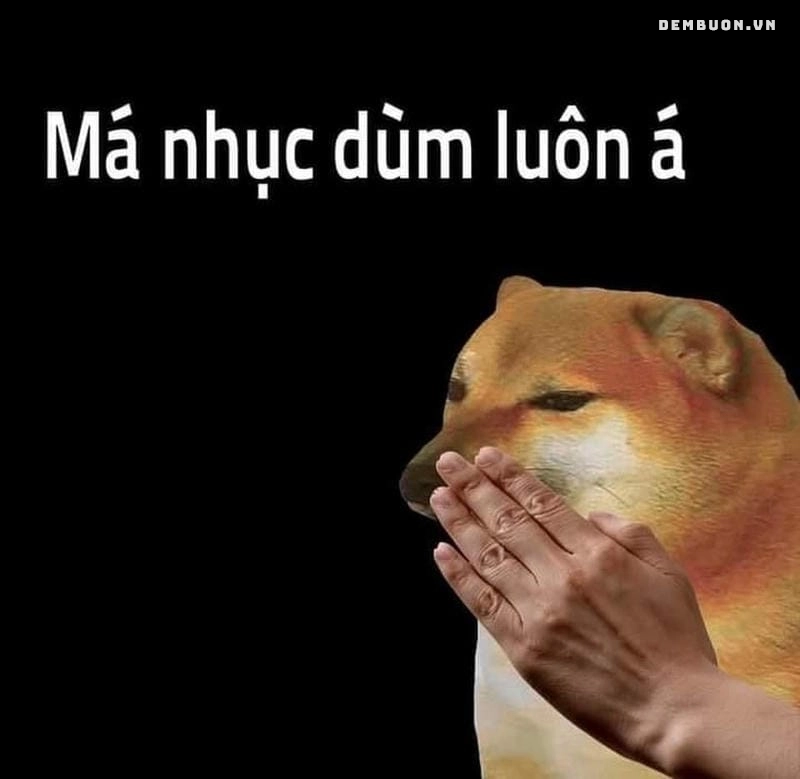 20260808-061648-9c140da33d.png