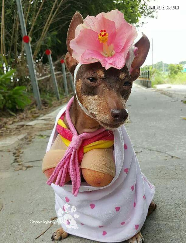 20260808-070737-7523da48db.jpg