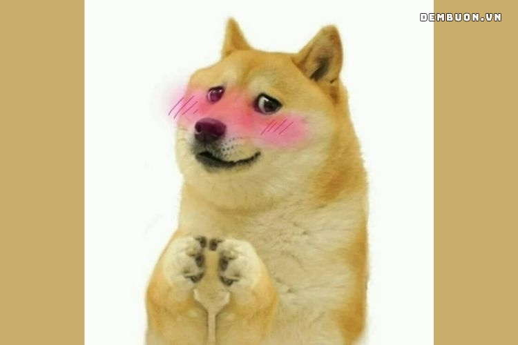 h&igrave;nh con vật cute 19