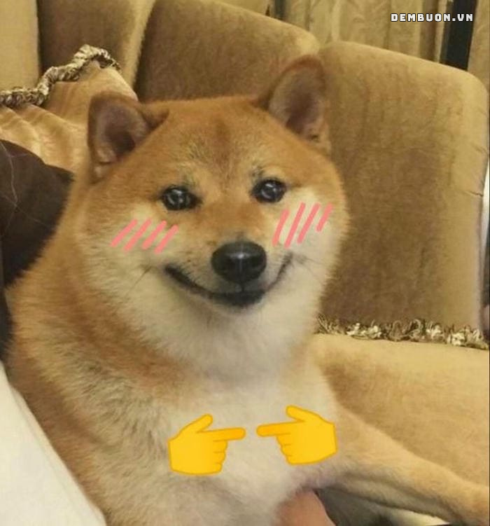 h&igrave;nh con vật cute 13