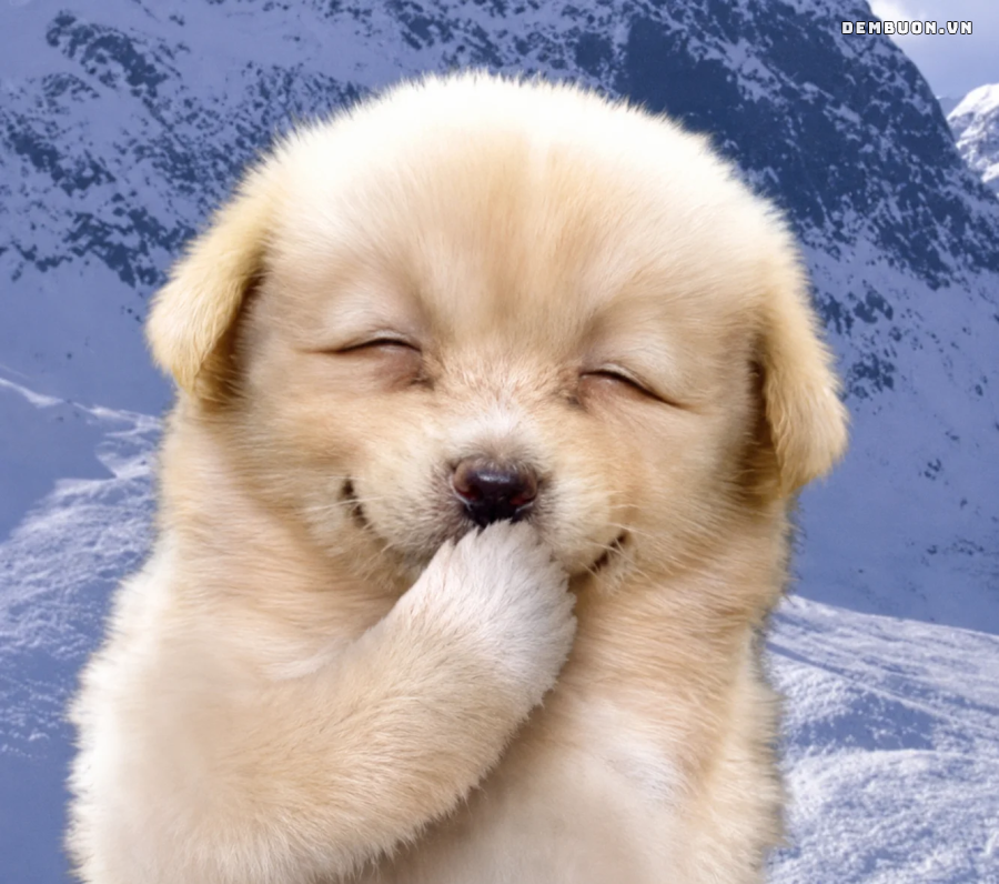 20260807-083009-ab6c4bfb7d.png