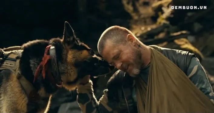 20261021-033638-3cf7b2ec8d.png